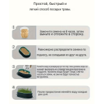 Гідропонний лоток для вирощування мікрозелені.