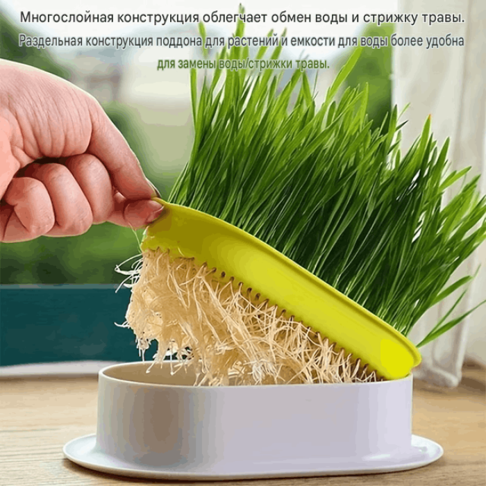 Гідропонний лоток для вирощування мікрозелені.