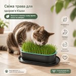 Гідропонний лоток для вирощування мікрозелені.