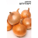 Цибуля Штутгарт (Штутгартер)