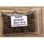 Буряк столовий Детройт - насіння купить в Украине | Microgreen.in.ua