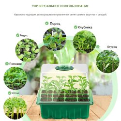 6 та 12-луночна коробка (парник) для насіння рослин,